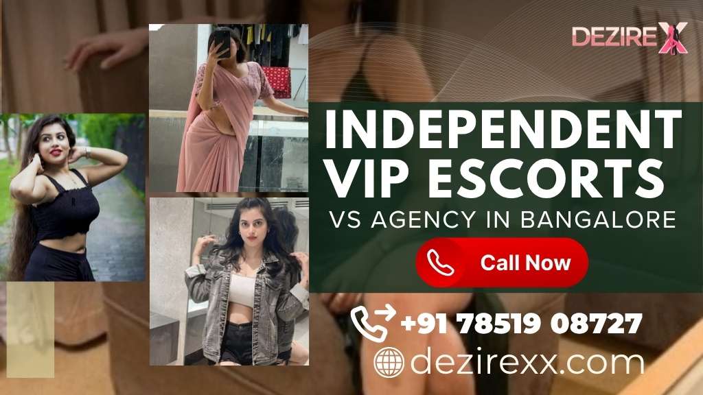 High-Class Model Escort in Delhi for VIP and Premium Services